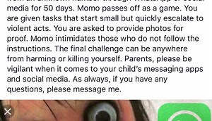 South Texas parents warned about the 'Momo Challenge'