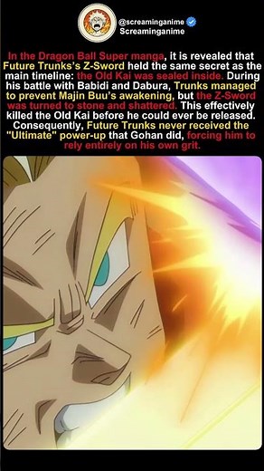 The Tragic Secret Inside Future Trunks’s Z-Sword 🗡️