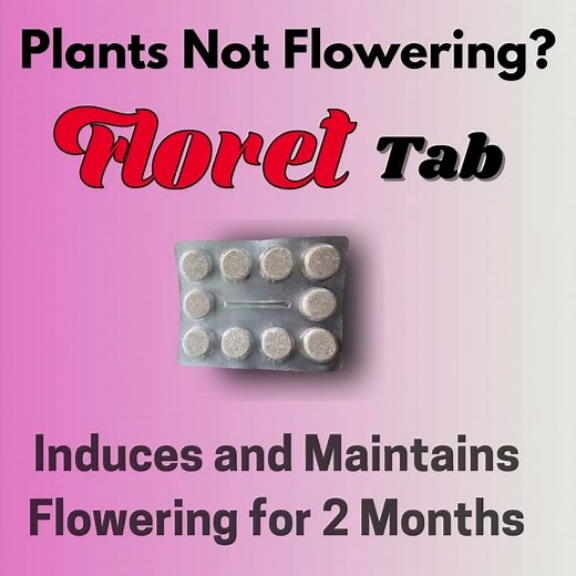 Nutripot garden tablet range consist of Hydrogel, Soil, Floret , Humi-Hydrogel Tablet #fertilizer