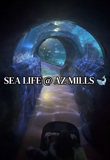 Exploring SEA LIFE at AZ Mills with Kids