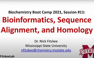 Bioinformatics, Sequence Alignment, and Homology (Session #11)