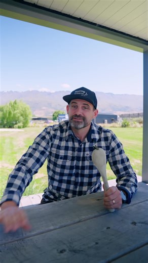 Go Electric: Saving New Zealand $11 Billion Annually