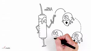 138K views · 949 reactions | Covid-19: Swissmedic erklärt, wie ein mRNA-Impfstoff funktioniert. Der Impfstoff sollte nach aktuellen Erkenntnissen auch gegen die neuen Varianten des Virus schützen. https://bag-coronavirus.ch/impfung | BAG OFSP UFSP | Facebook