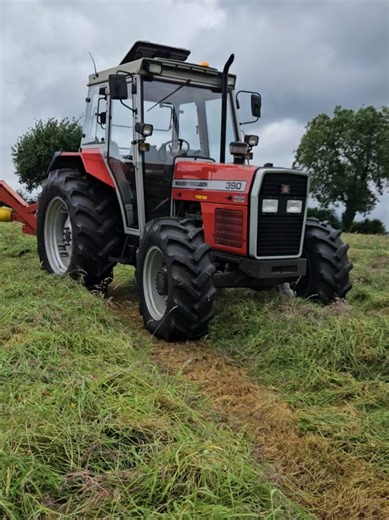 LakeviewFarM🌾🚜 2026 Season Begins Grass Time #LakeviewFarM🌾🚜 #MasseyFerguson #Lady #Farming #Countryside