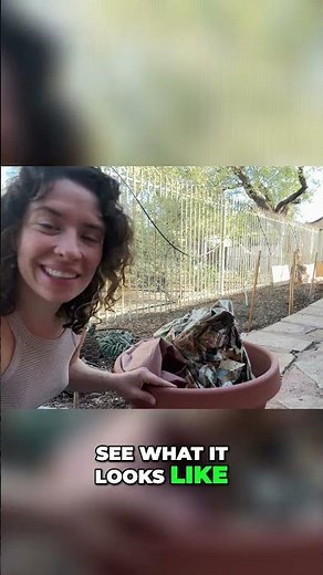 Composting Secrets: Turning Dog Poop & Paper into Garden Gold! #shorts