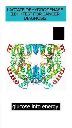 Delve into the Lactate Dehydrogenase(LDH) test and its role in diagnosing and monitoring cancer #LDH