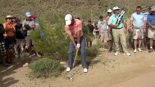 Rory McIlroy shot, Arizona cholla cactus attack camera man at Accenture Match Play