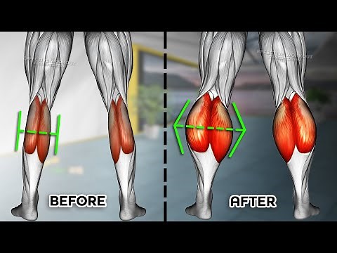 9 Best Calf Exercises You Can Do to Get Big Calves Workout