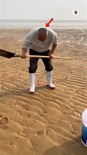 He Found Hidden Gold in Beach Holes and This Happened 😳🏖️💰