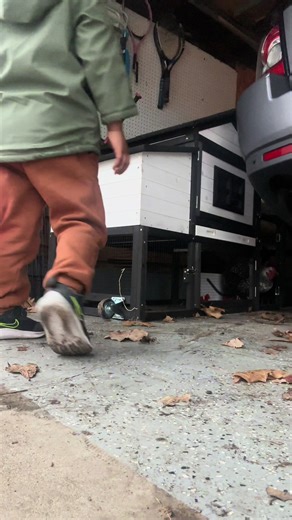 🐔🐔🐔 #fyp #chickens #coop #chickensoftiktok #farmlife