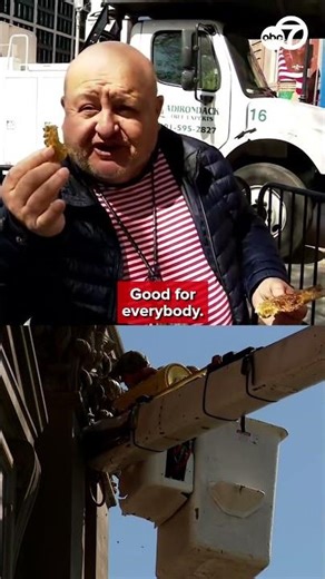 Beekeepers called in to clear massive hive near White House