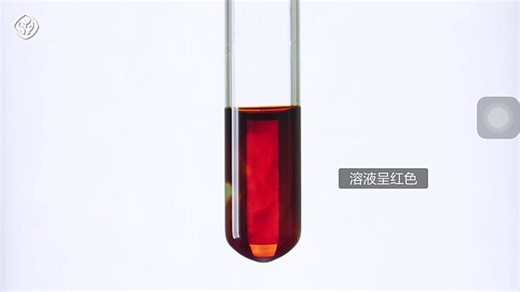 【化学必修1示范实验】铁离子的检验KSCN硫氰化钾硫氰化铁人教版统编教材高中化学2019新课改新课标