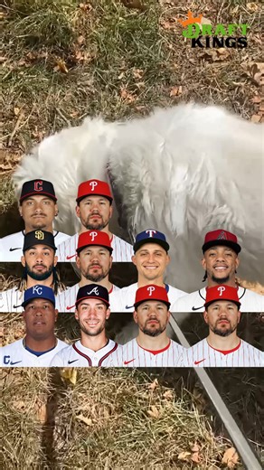 15K views · 35 reactions | Comment with one player you think is hitting a home run this week and one person who guesses correctly could win a free shirt from our merch store! | Jomboy Media | Facebook