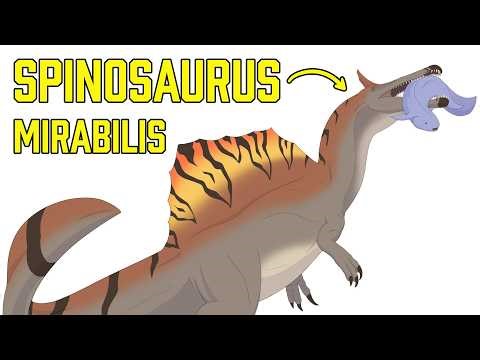 ALL SPINOSAURIDS EXPLAINED