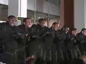 Alpha Phi Alpha 2008 Morehouse Probate