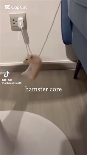 random stuff (@chrisrandom77)’s videos with original sound - random stuff