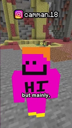 The Rarest Bucket in Minecraft
