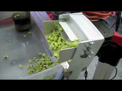 Demo of Mr. Pea Sheller