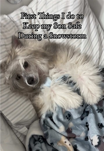 Essential Safety Tips for Snowstorms and Hurricanes