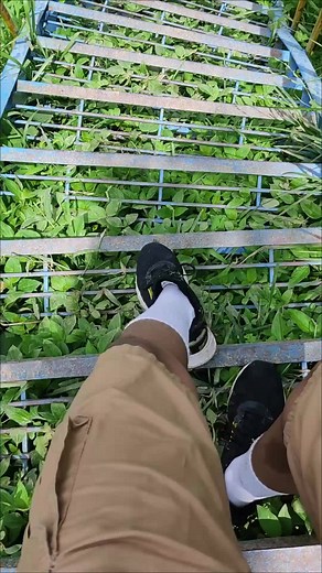 It's ok to disconnect for a while! 🌿 #fypシ #foryoupage #viral #trending #hillclimb #tour #tourist #tourism #khagrachari #unfrezzmyaccount #bdtiktokofficial @TikTok @For You