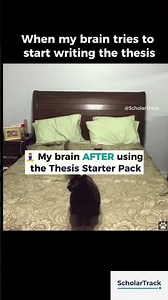 My Brain on Thesis Mode vs Planning Mode 🧠💀 #shorts