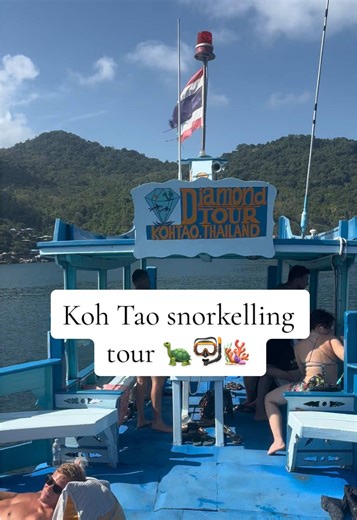 Koh Tao Snorkelling Day Tour: Discover Thailand's Gem