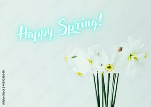 Happy spring holiday card with white daffodils