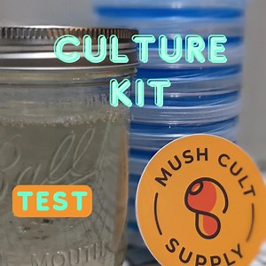 Mushroom Culture Kit - Sterile Liquid Culture Pint, X10 Agar Plates - Etsy