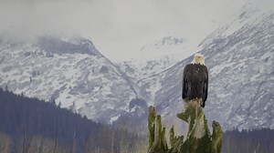 America The Beautiful — release date, trailer, episode guide and all about the stunning nature series