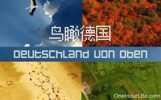 纪录片《鸟瞰德国》以城市、乡村、河流三集不同地貌特征鸟瞰德国美景、建筑、人文景观。既展示无与伦比的所有经典景色，也涉及很多先进的当代科技及辉煌的历史文化。
