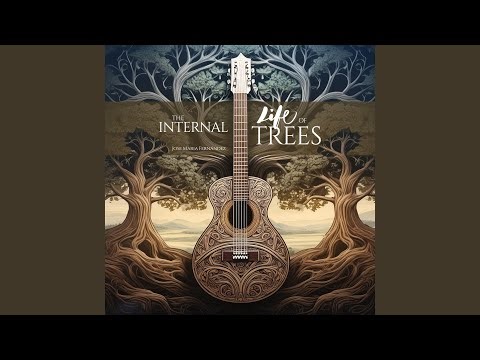 The ascending movement of consciousness