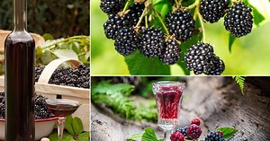 Pripremite fini domaći liker od kupina po starinskoj recepturi