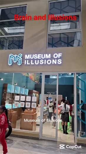 The Science Behind Optical Illusions: This is how Your Brain Gets Tricked #Museumofillusions #Brain