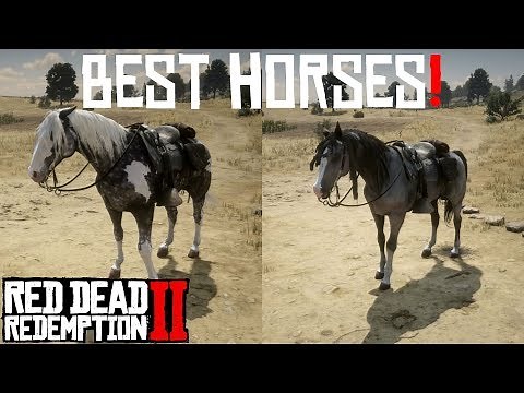RDR2 Best horses! - How to obtain
