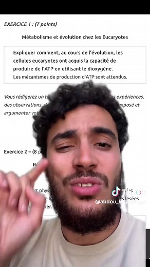 Understanding Eukaryotic Cells: ATP Production Explained