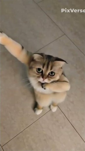 Little Leo dancing around #brainrot #memes #youtubepersonality #funny #fypシ