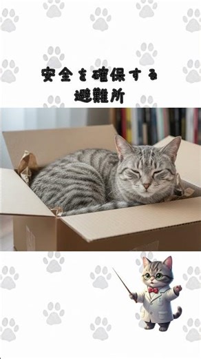 猫が箱に入りたがる理由