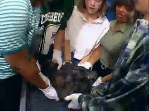 Bill Nye- The Science Guy - S05E15 - Comets & Meteors