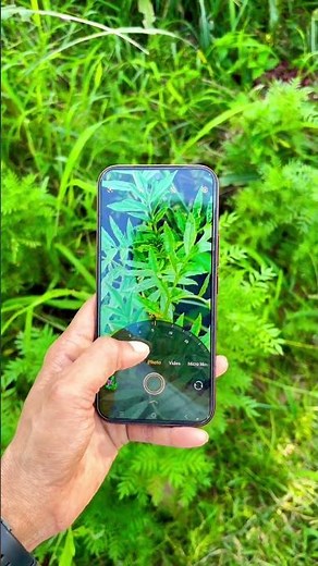 Vivo V70 5G First Look 🔥 | Premium Design & Amazing Features #trending #shorts #viral #vivov70
