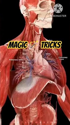 new_magic_🪄_trick_❓🤔_#vairalvideo_#ytshorts_#magictricksvideos