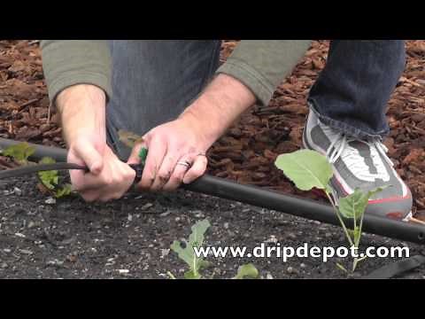 How to Use Drip Tape to Drip Irrigate a Small Farm