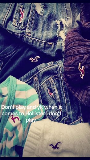 Exploring the Hollister Aesthetic and Brand Appeal