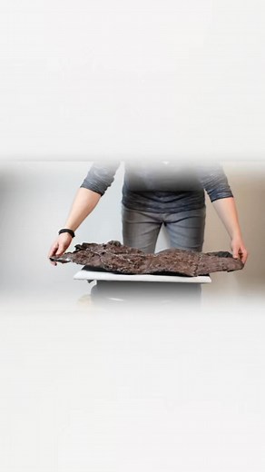 🪨🌳☺️ #bonsaipot #slab #ginkgohatas | Bonsai Pécs-Ginkgo Hatás