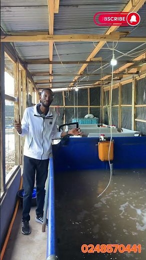 Aeration in catfish farming