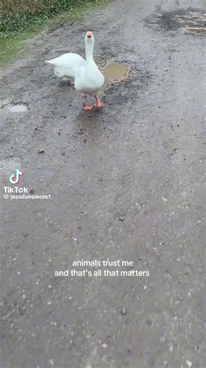 yas141414 (@yas14141414)’s videos with original sound - yas141414