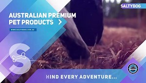 To check it all out ⬇️ www.saltydogs.com.au | SALTYDOG | Facebook