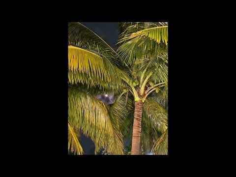 10-Minute Full Body Relaxation | Guided PMR for Beginners