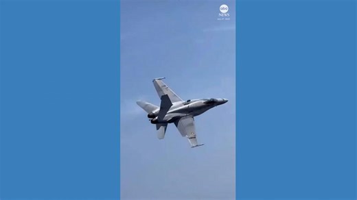 Fighter jet in 'close call' with flock of birds