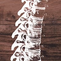 Restorative Wellness Center - Functional Medicine - Functional Medicine | Chiropractic | Low level Laser Therapy | Direct Primary Care Medicine