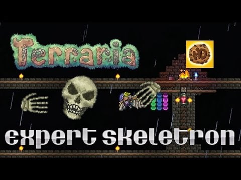 Terraria 1.3 Expert Skeletron Battle Guide | PC | PS4 | XBOX1